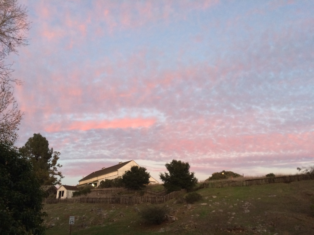Sunset over Wilder Ranch in Santa Cruz